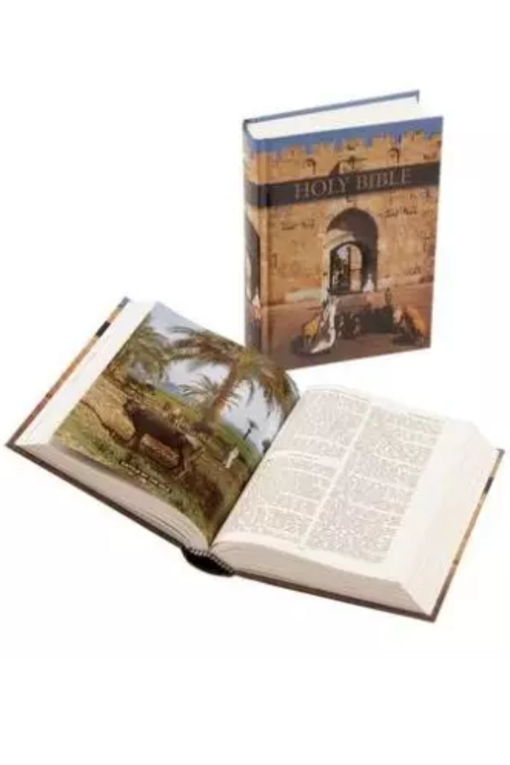 KJV Royal Ruby Bible: Hardback, Illustrated Edition