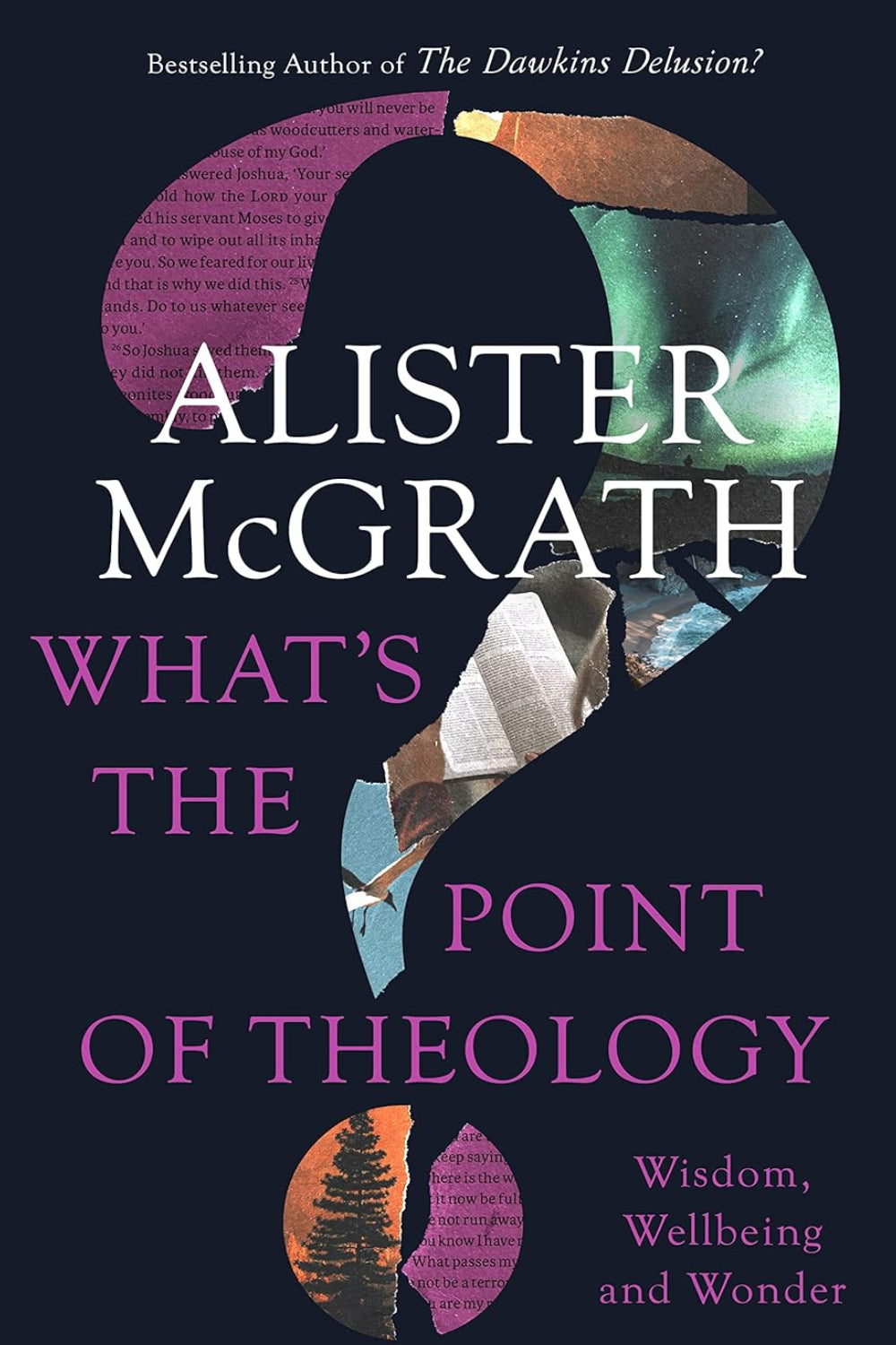 What's the Point of Theology?: Wisdom, Wellbeing and Wonder