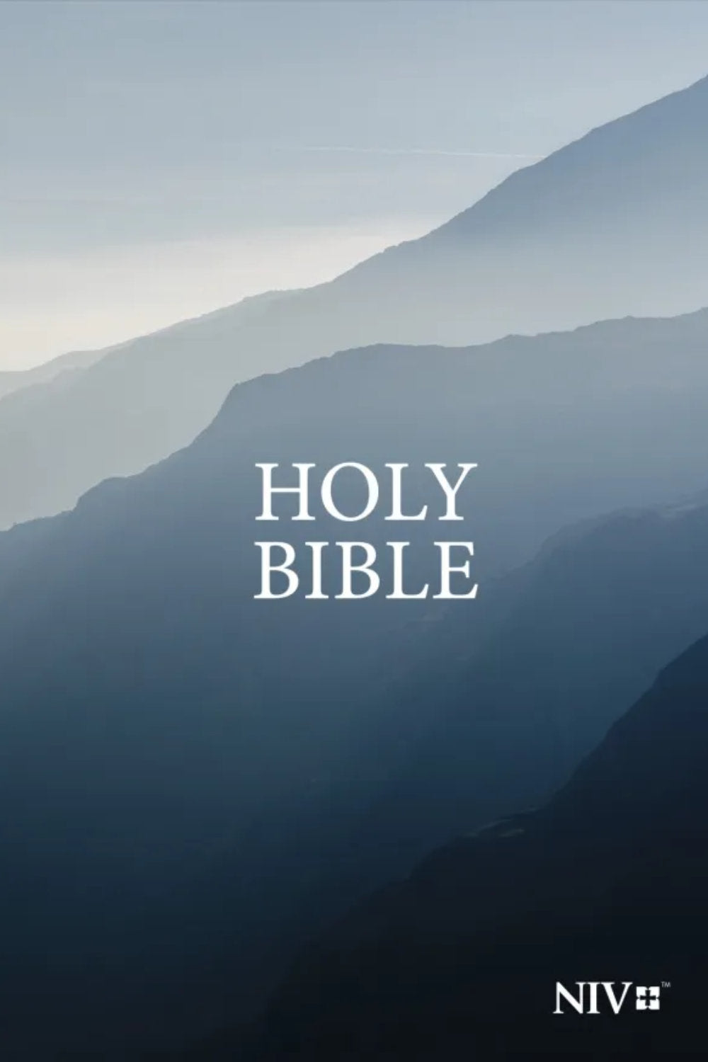 NIV Outreach Bible Paperback