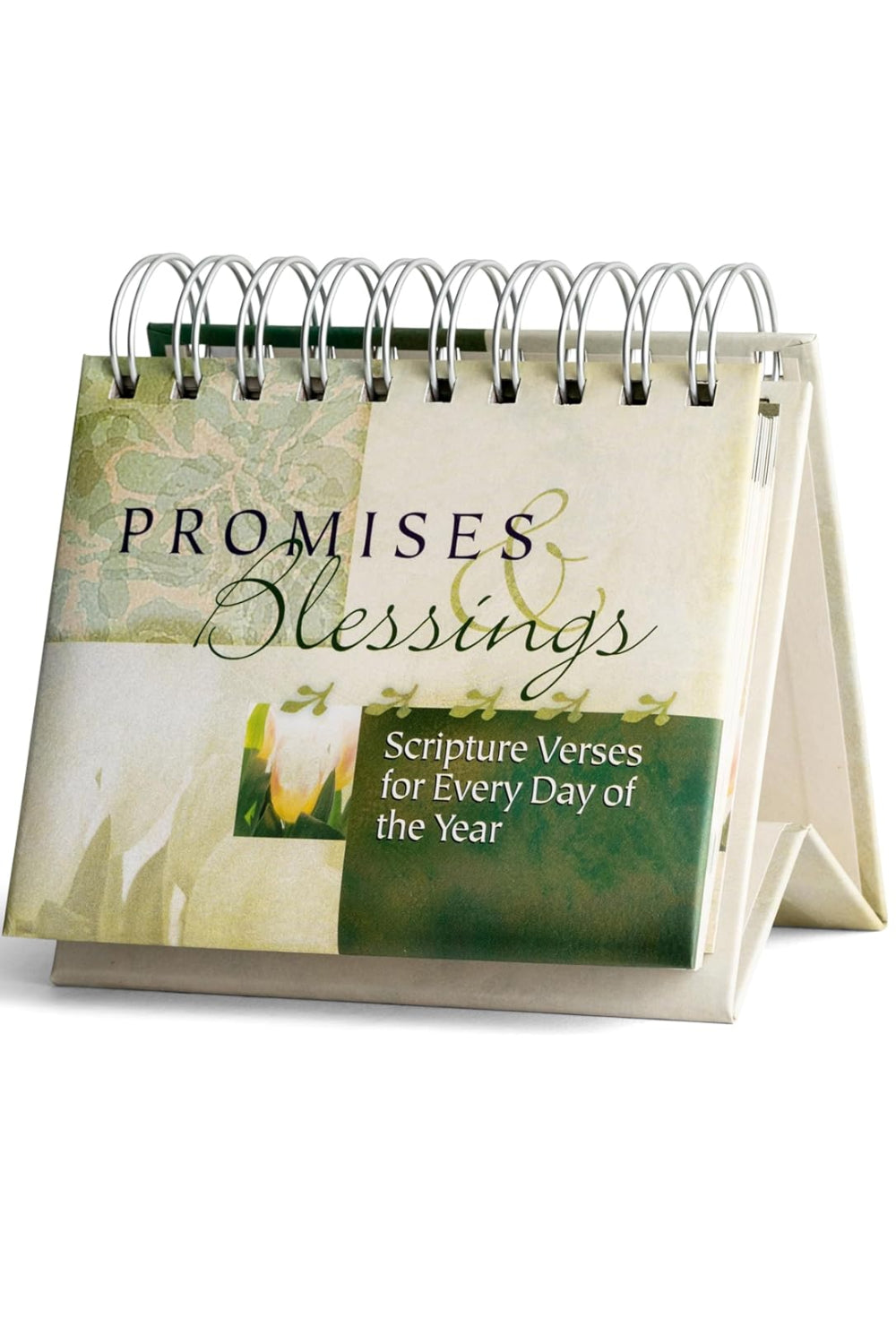 Daybrightener - Promises & Blessings (250036)