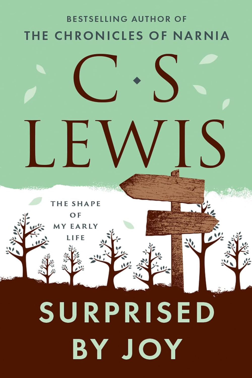 Surprised By Joy Paperback