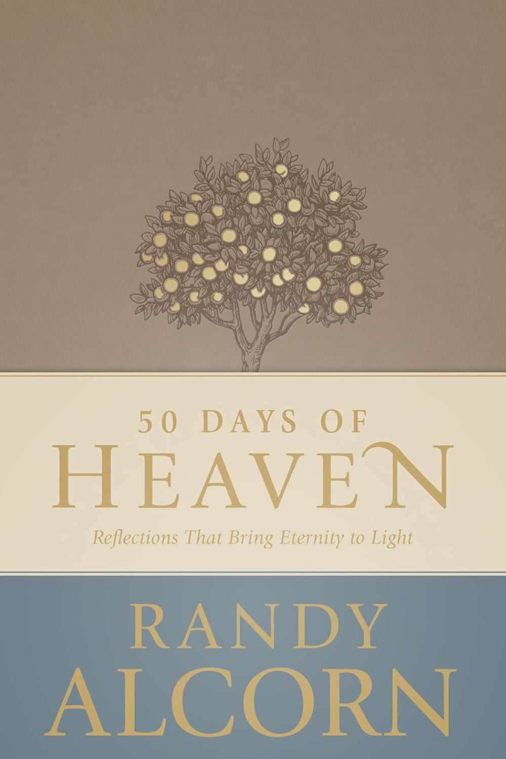 50 Days of Heaven: Reflections That Bring Eternity to Light