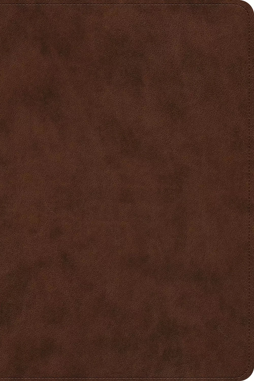 ESV Dyslexia Friendly Trutone, Brown