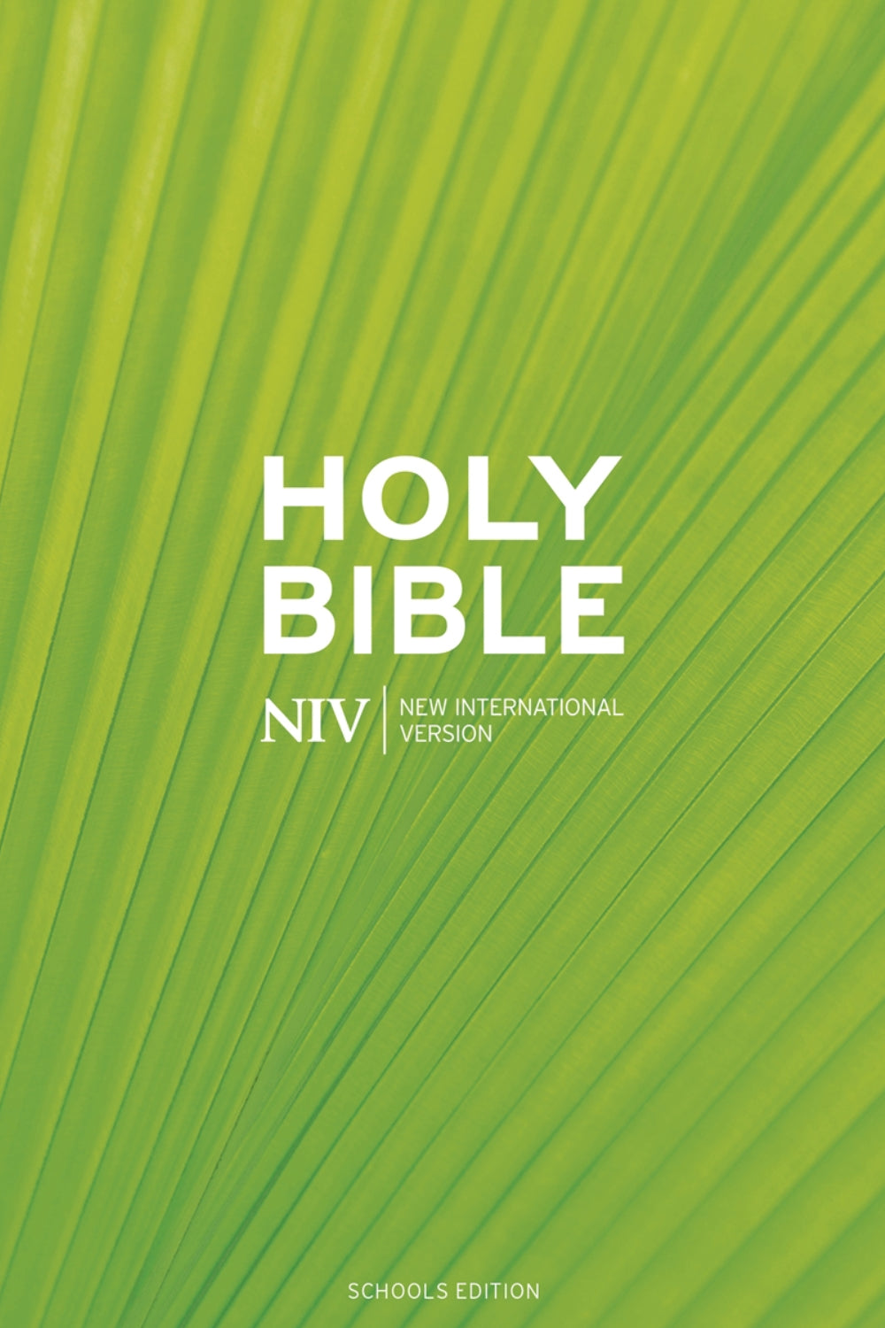 NIV Schools Hardback Bible