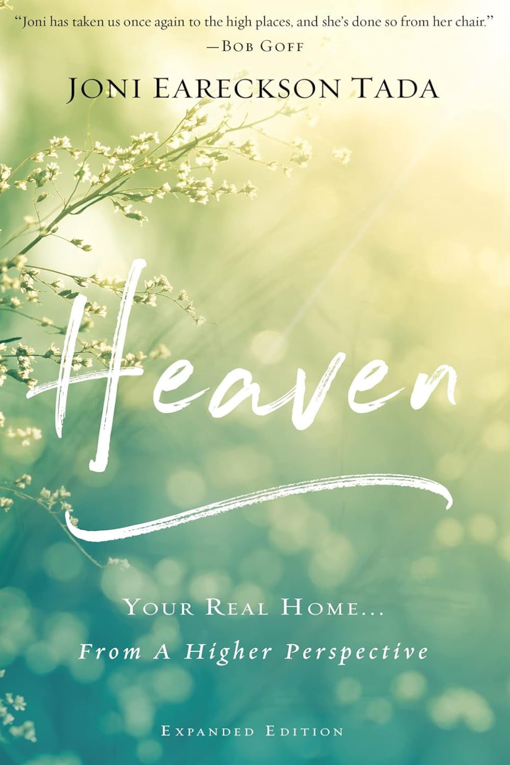 Heaven: Your Real Home...From a Higher Perspective