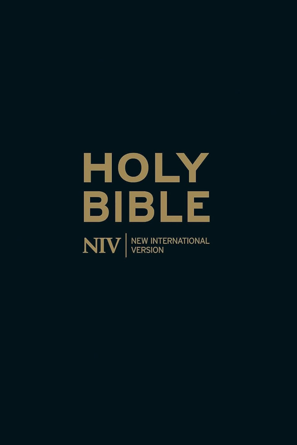 NIV Thinline Black Leather Bible (small)