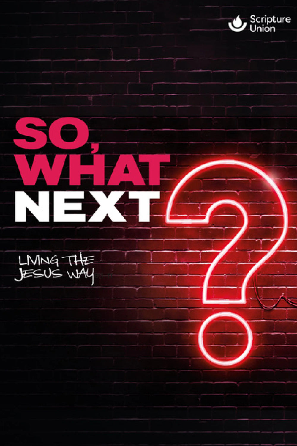 So, What Next? Pack of Ten