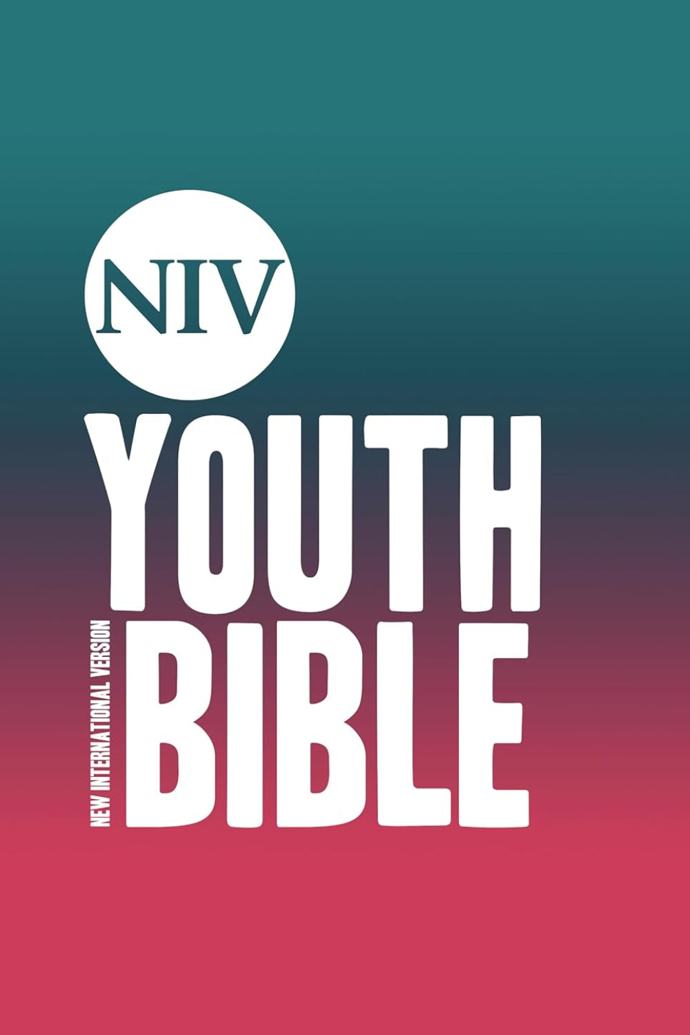 NIV Youth Bible Hardback (New International Version)