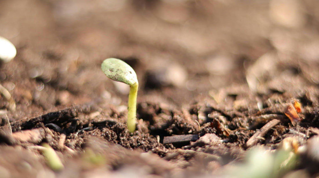 What February Brings for Christians