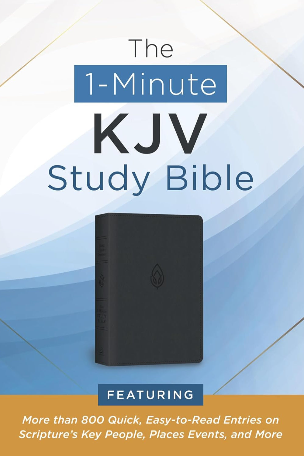 The 1-Minute KJV Study Bible (Pewter Blue): Featuring More Than 800 Quick, Easy-To-Read Entries on Scripture's Key People, Places, Events, and More