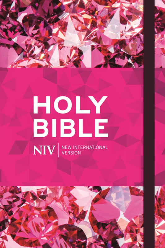NIV Ruby Journalling Bible