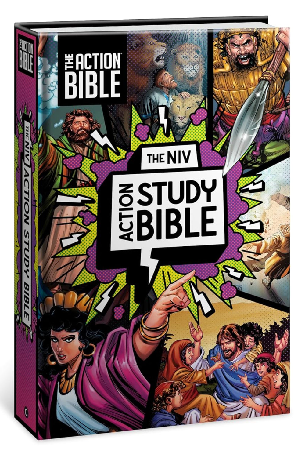 NIV Action Study Bible