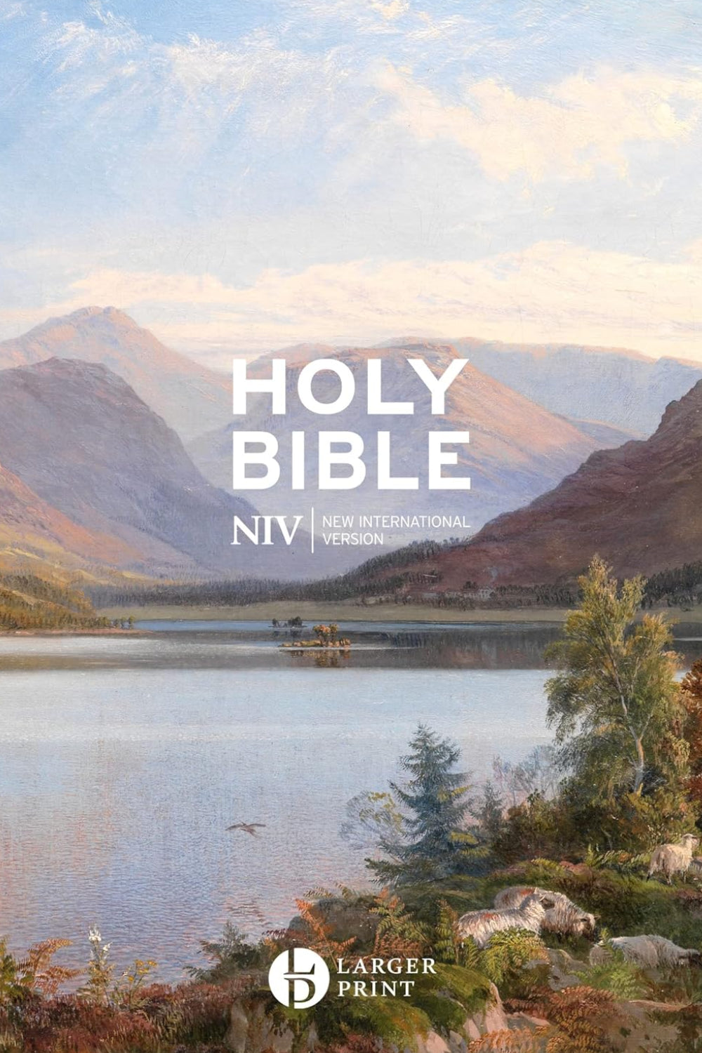NIV Larger Print Gift Hardback Bible