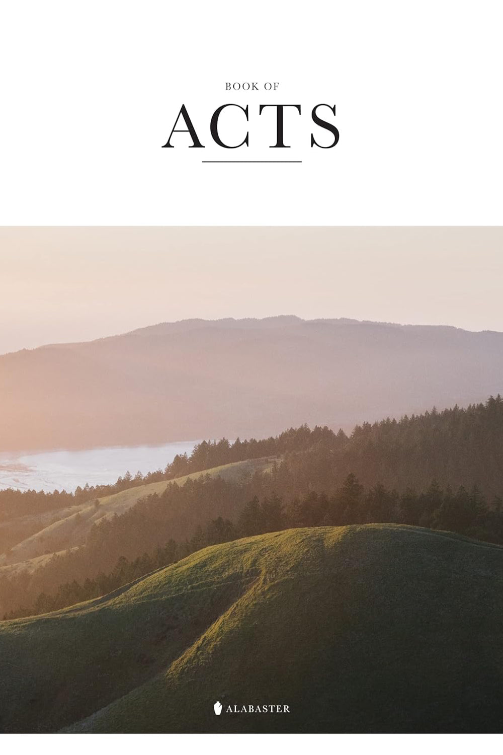 Alabaster Book Of Acts - Gift NLT Bible