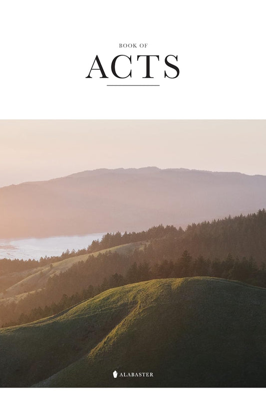 Alabaster Book Of Acts - Gift NLT Bible