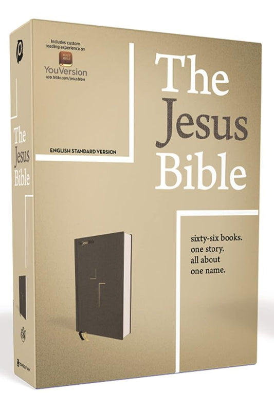 ESV Jesus Bible Gray Cloth Board