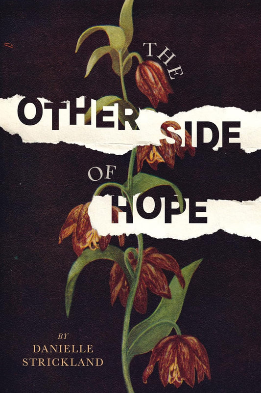 The Other Side of Hope: Flipping the Script on Cynicism and Despair and Rediscovering our Humanity