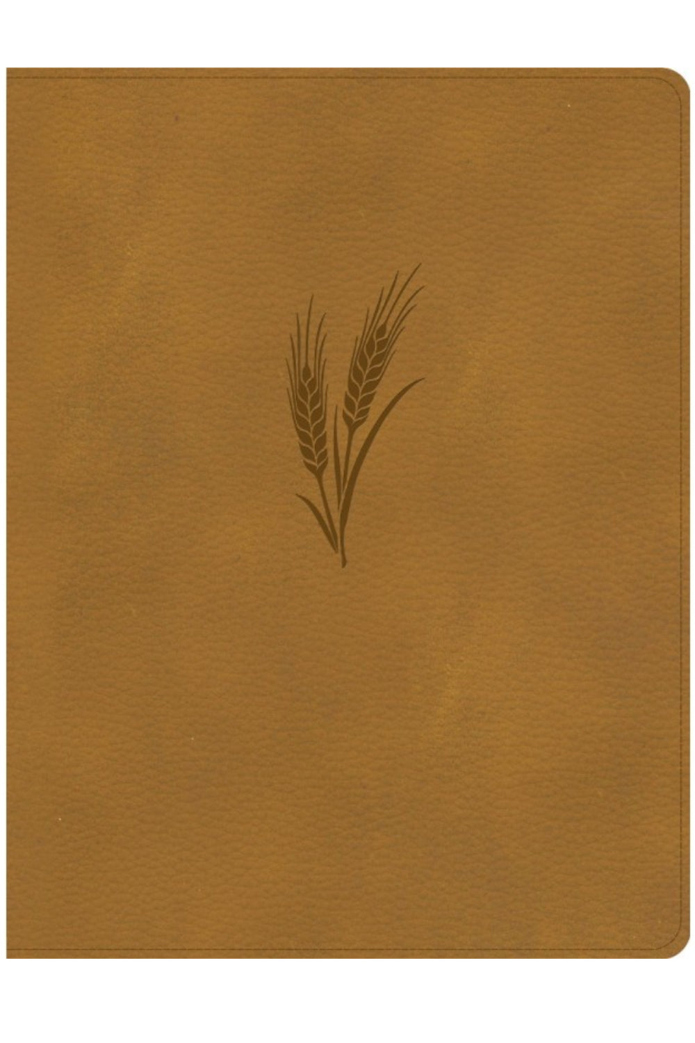 CSB Notetaking Bible, Large Print Edition, Camel
