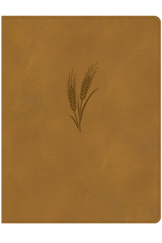 CSB Notetaking Bible, Large Print Edition, Camel