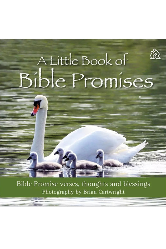 A Little book of Bible Promises