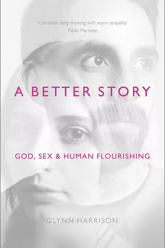 A Better Story God, Sex & Human Flourishing Paperback