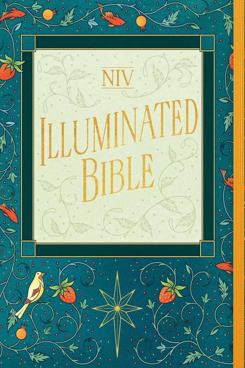 NIV Illuminated Bible