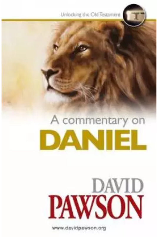 Commentary On Daniel Paperback