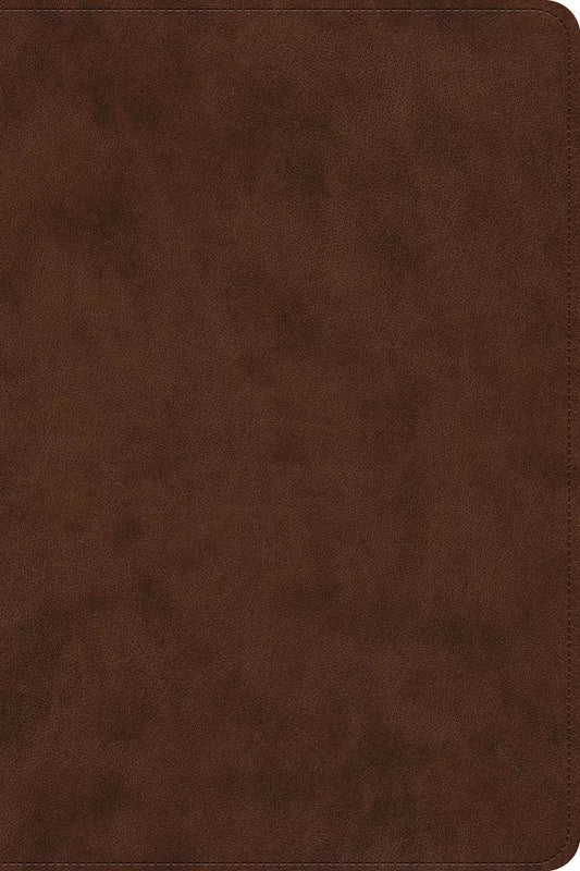 ESV Dyslexia Friendly Trutone, Brown