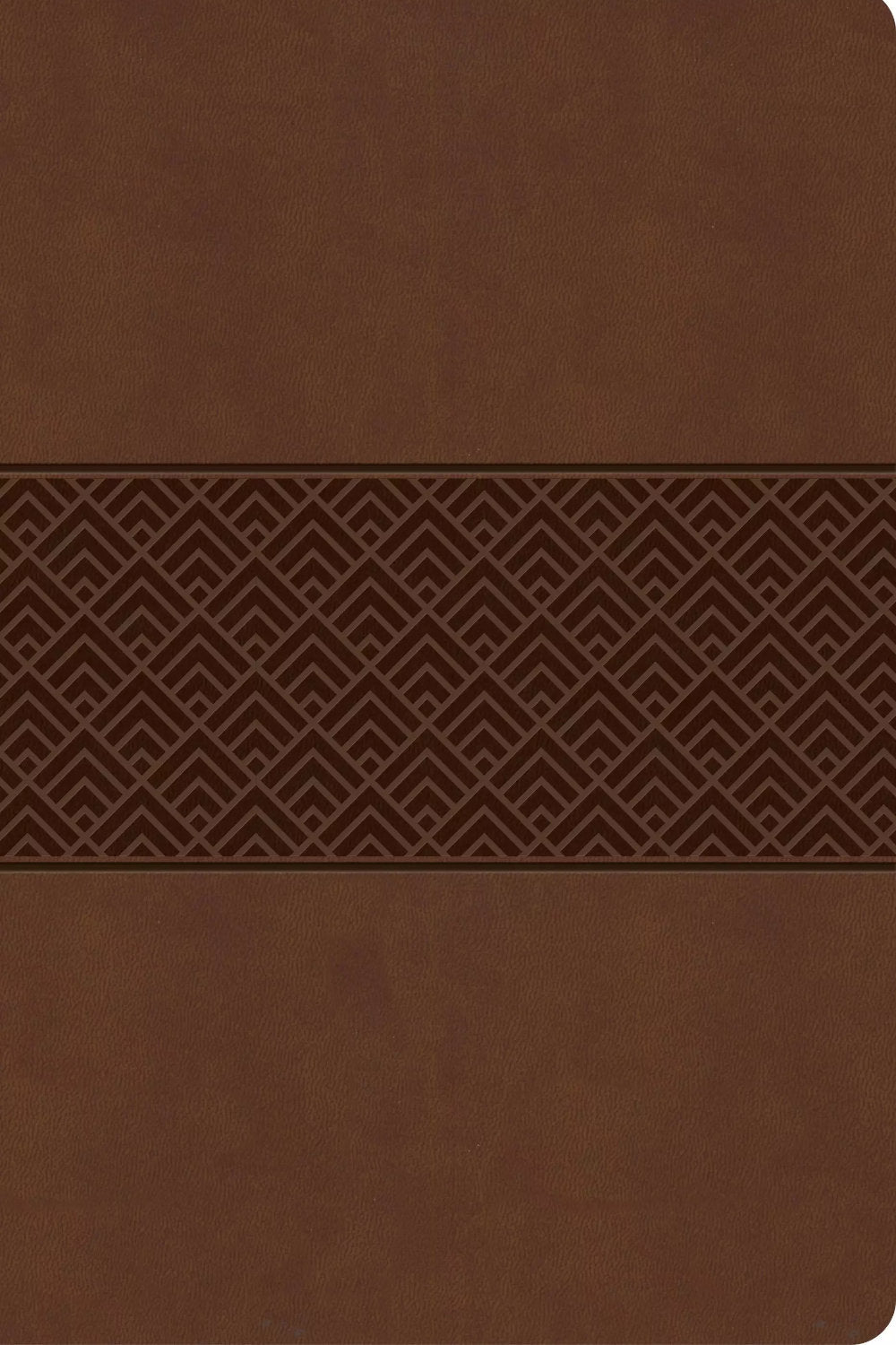 CSB Everyday study Bible - brown burnished leathertouch