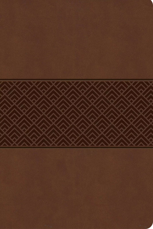 CSB Everyday study Bible - brown burnished leathertouch