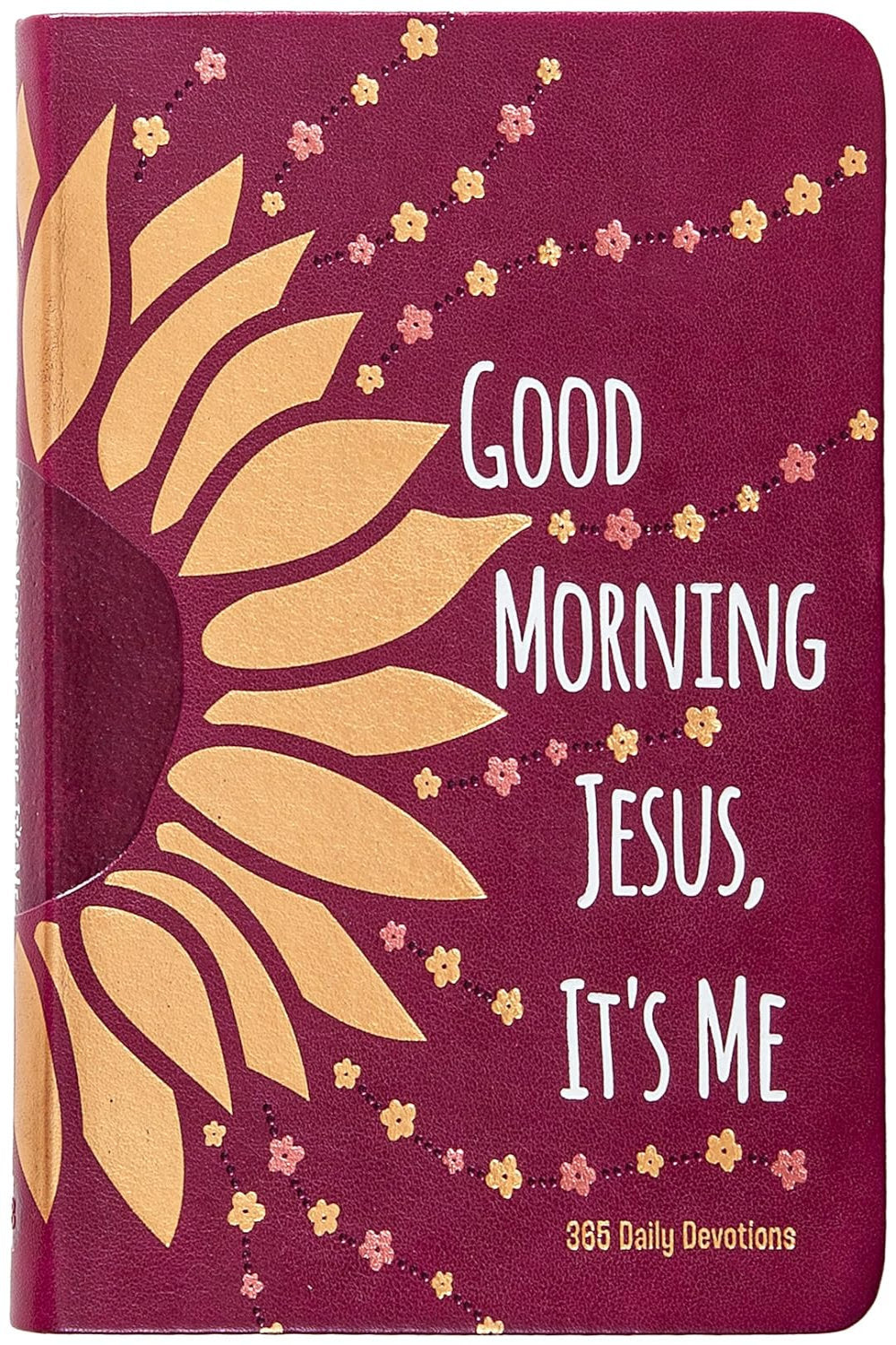 Good Morning Jesus, It'S Me: 365 Daily Devotions