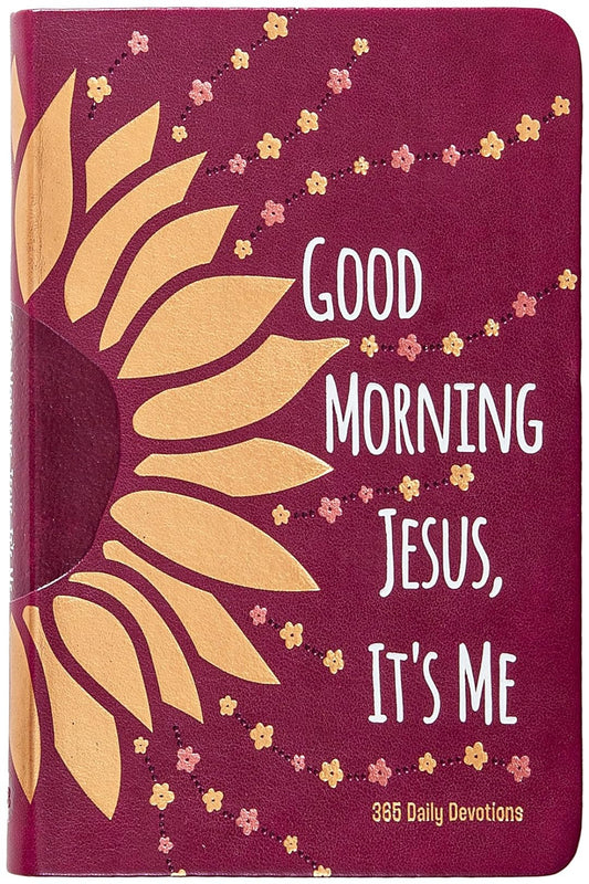 Good Morning Jesus, It'S Me: 365 Daily Devotions