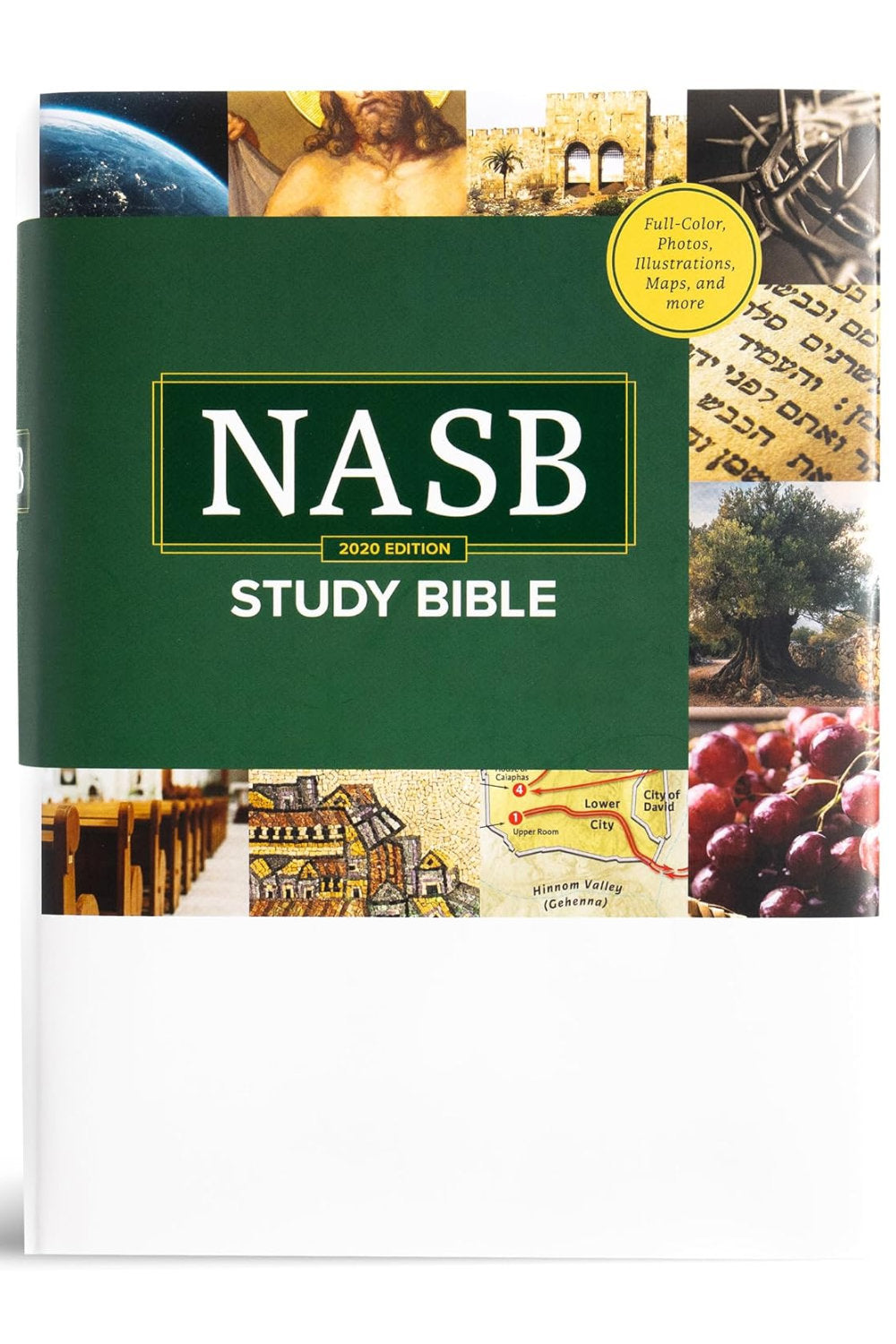 NASB Study Bible