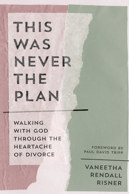 This Was Never The Plan
