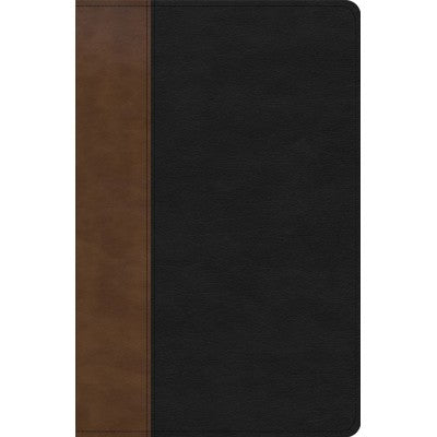 KJV Pers Size Giant Print Two-Tone Brown