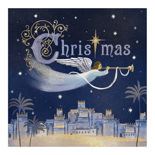 Christmas Cards  Tearfund  Angel over Bethlehem  143 TF245