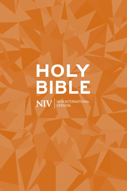 NIV Popular Paperback Bible